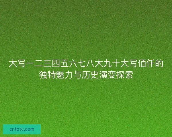 大写一二三四五六七八大九十大写佰仟的独特魅力与历史演变探索